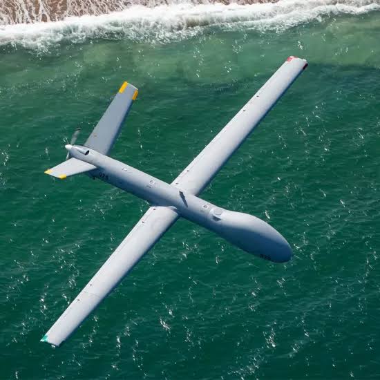 Elbit Hermes 450