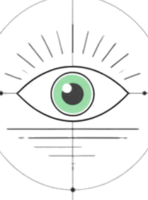 Vision
